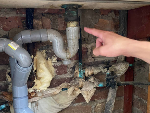 Best Professional water damage repair  in Simpson, PA
