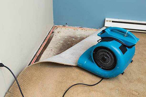 Best Flood damage cleanup  in Simpson, PA